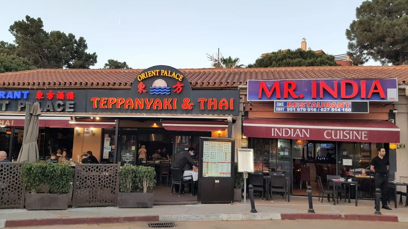 Mr. India Restaurant: the food