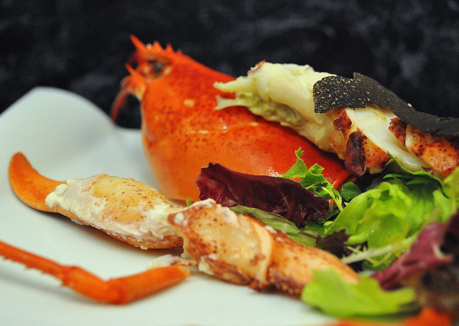 Trattoria L'Impronta: the food