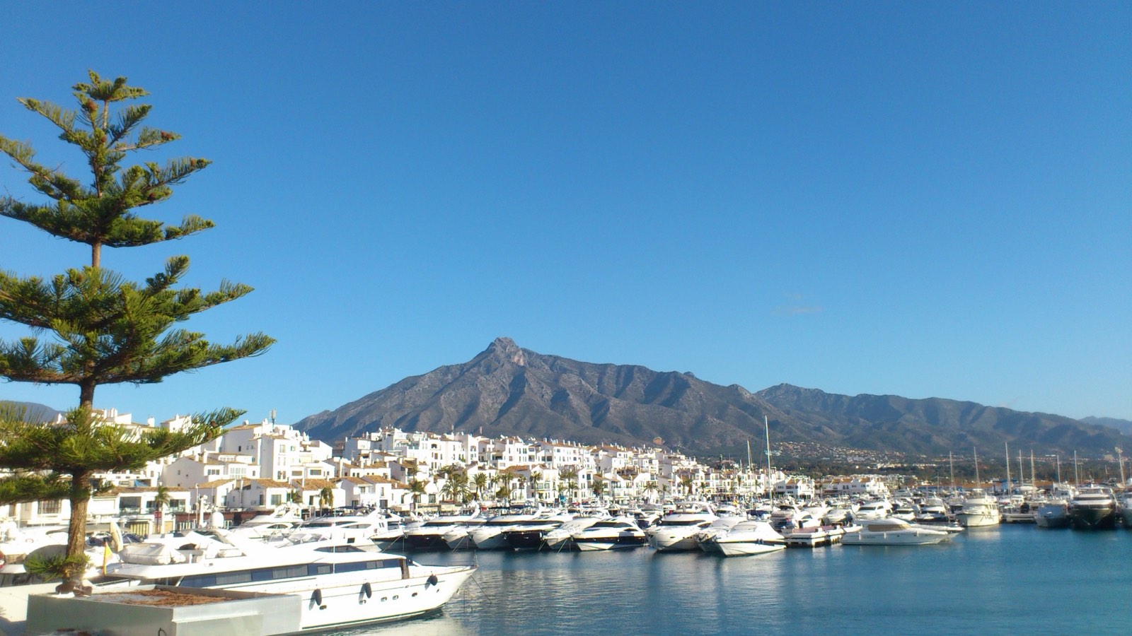 Puerto Banús marina and the Sierra Blanca mountains