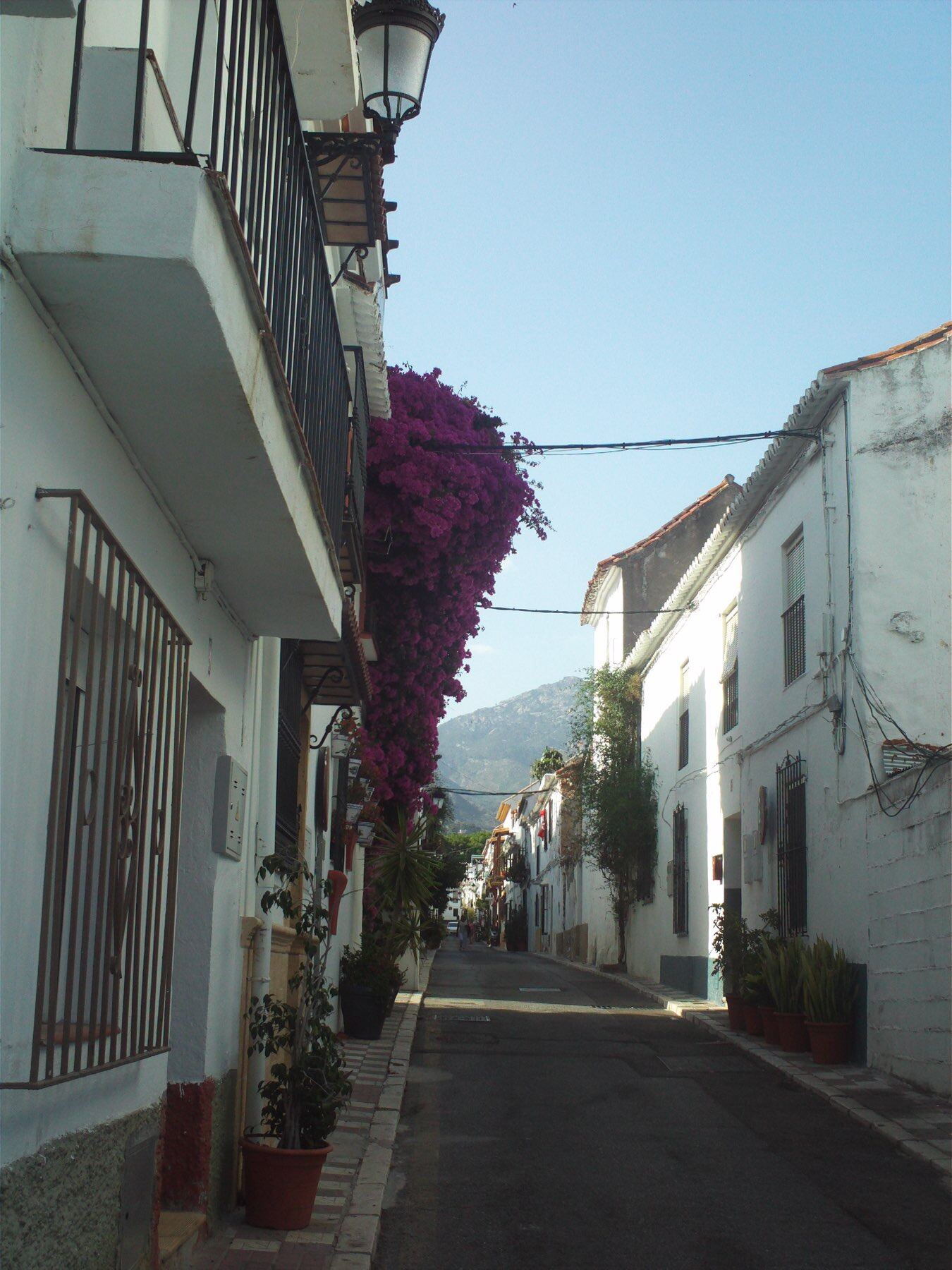 A residential street in Marbella
