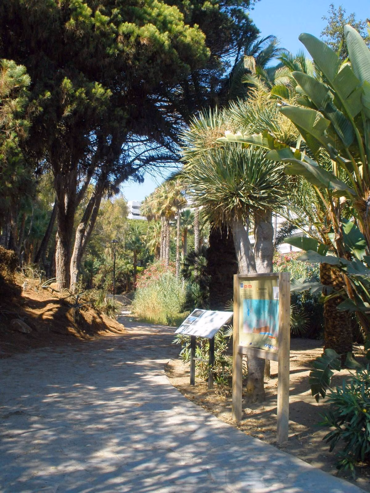 The Paseo Marítimo, Marbella's seafront promenade, in February