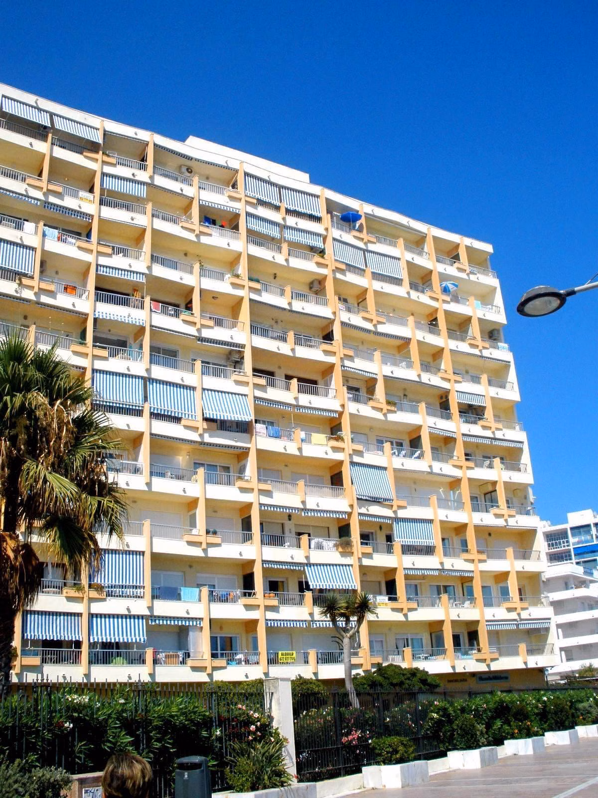 The Paseo Marítimo, Marbella's seafront promenade, in June