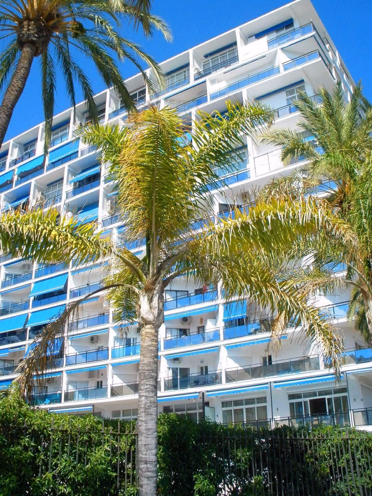 The Paseo Marítimo, Marbella's seafront promenade, in November