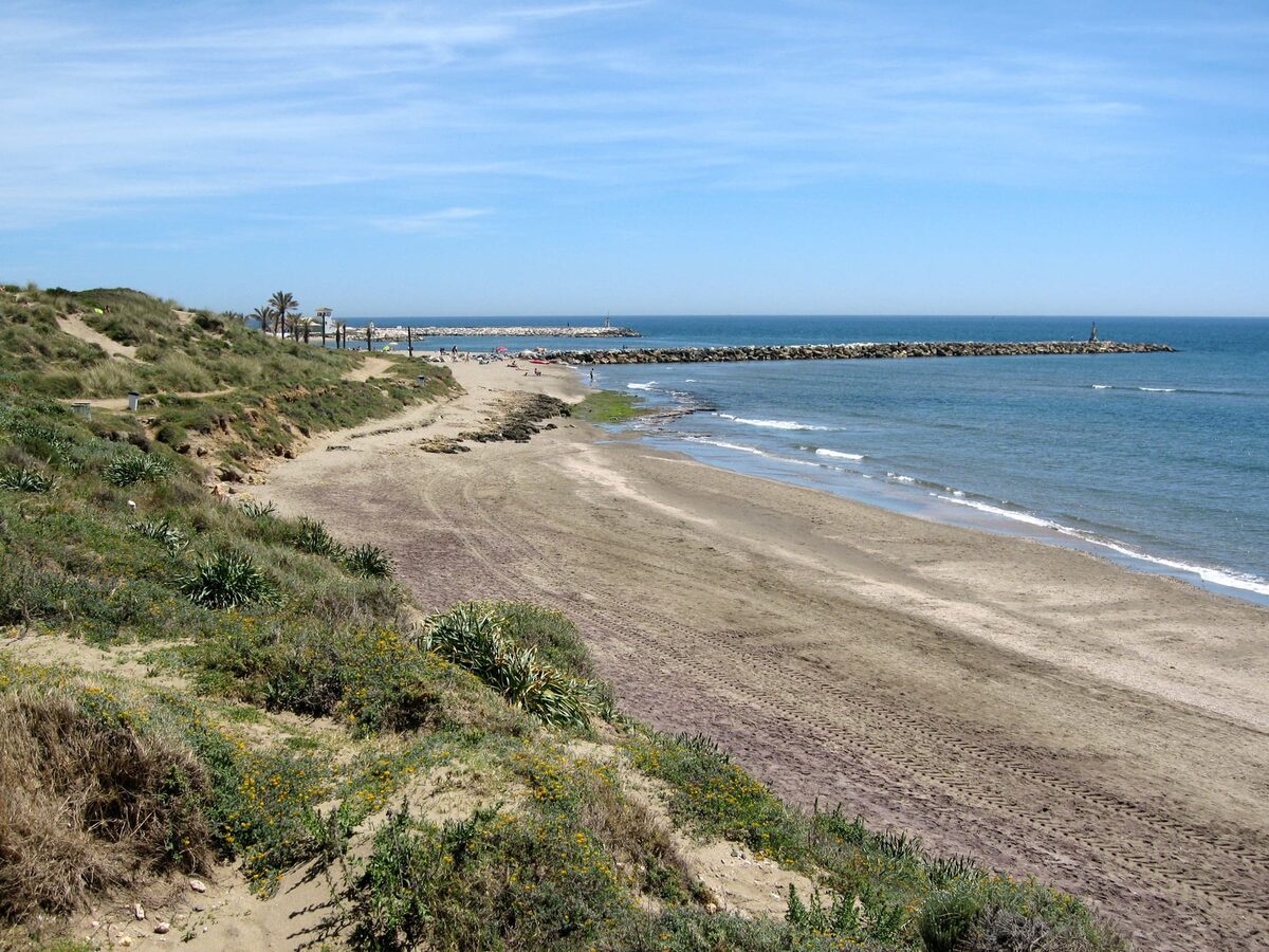 The dunes and beach at Artola, Marbella